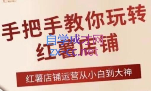 海燕老师·2024手把手教你玩转红薯店铺-瀚宇网创