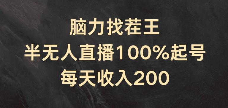 脑力找茬王，半无人直播100%起号，每天收入200+【揭秘】-瀚宇网创