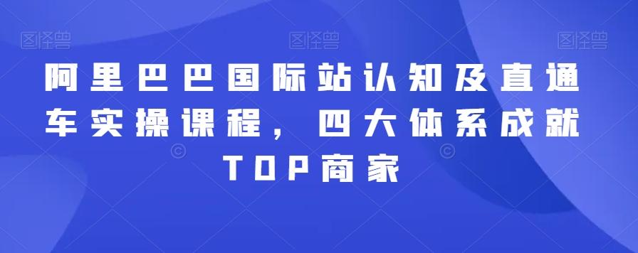 阿里巴巴国际站认知及直通车实操课程,四大体系成就TOP商家-瀚宇网创