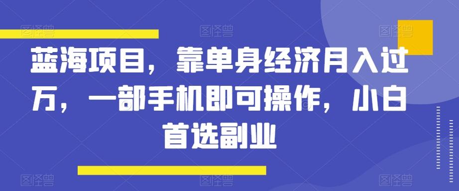 蓝海项目，靠单身经济月入过万，一部手机即可操作，小白首选副业【揭秘】-瀚宇网创