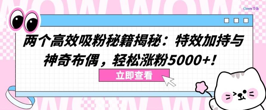 两个高效吸粉秘籍揭秘：特效加持与神奇布偶，轻松涨粉5000+【揭秘】-瀚宇网创
