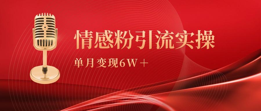 (9473期)单月变现6w+，情感粉引流变现实操课-瀚宇网创