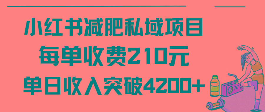 (9466期)小红书减肥私域项目每单收费210元单日成交20单,最高日入4200+-瀚宇网创