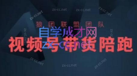 狼团联盟·2024视频号带货-瀚宇网创