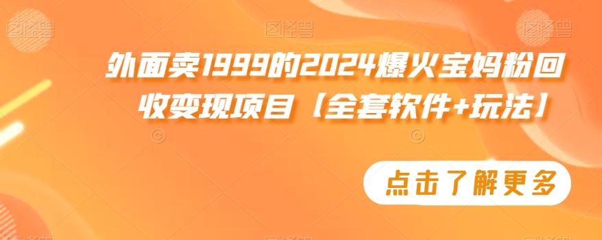 外面卖1999的2024爆火宝妈粉回收变现项目【全套软件+玩法】【揭秘】-瀚宇网创