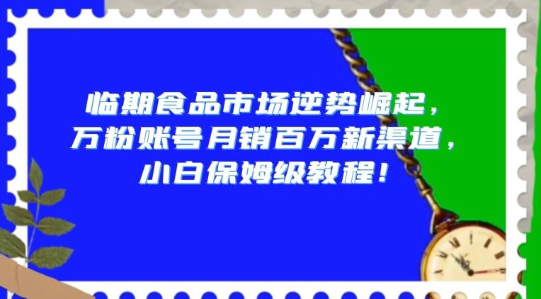 临期食品市场逆势崛起，万粉账号月销百万新渠道，小白保姆级教程【揭秘】-瀚宇网创