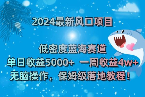 (8545期)2024最新风口项目 低密度蓝海赛道，日收益5000+周收益4w+ 无脑操作，保…-瀚宇网创