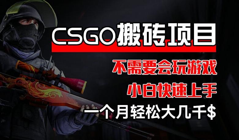 CSGO 装备搬砖项目，操作简单，不需要会玩游戏，小白也能快速上手，一个月轻松大几千【揭秘】-瀚宇网创