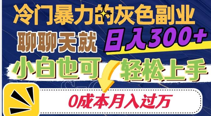 冷门暴利的副业项目，聊聊天就能日入300+，0成本月入过万【揭秘】-瀚宇网创