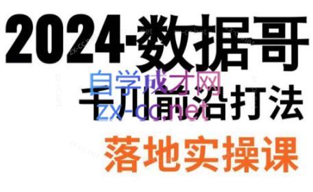 数据哥·2024年千川前沿打法落地实操课-瀚宇网创