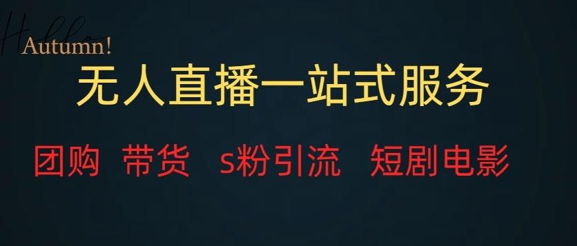 无人直播一站式服务（教程以及变现方式）-瀚宇网创