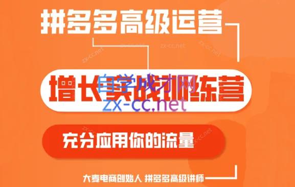 大麦老师·拼多多单品爆款打造课程(更新6月)-瀚宇网创