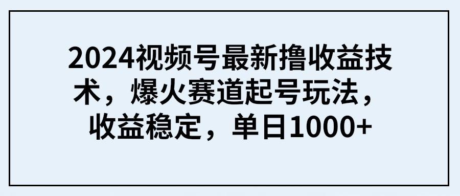(9651期) 2024视频号最新撸收益技术，爆火赛道起号玩法，收益稳定，单日1000+-瀚宇网创