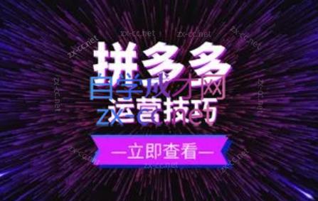 力辛电商·拼多多强付费店群玩法-瀚宇网创