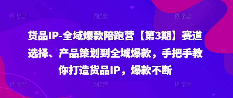 货品IP全域爆款陪跑营【第3期】赛道选择、产品策划到全域爆款，手把手教你打造货品IP，爆款不断-瀚宇网创