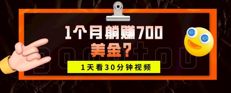 1天看30分钟视频，1个月躺赚700美金？-瀚宇网创