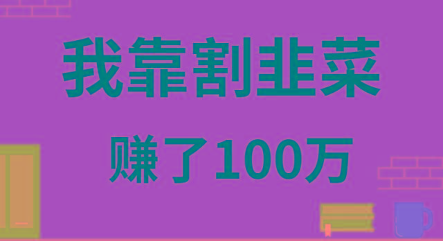 我靠割韭菜赚了 100 万-瀚宇网创