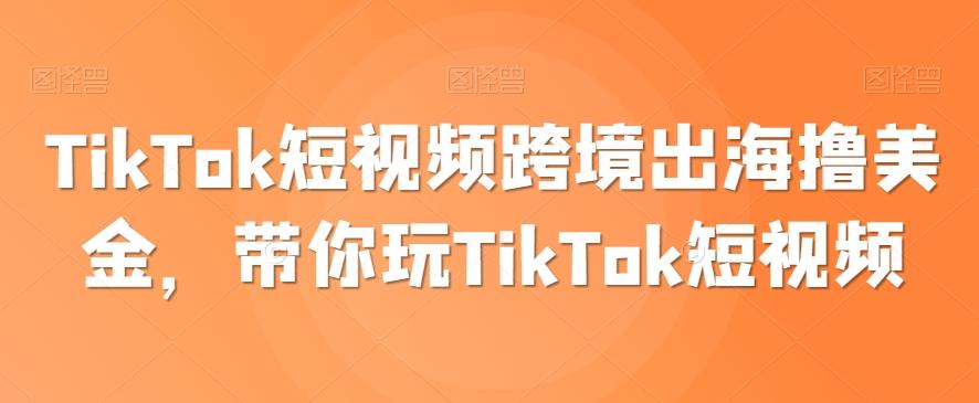 TikTok短视频跨境出海撸美金,带你玩TikTok短视频-瀚宇网创
