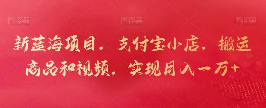 新蓝海项目，支付宝小店，搬运商品和视频，实现月入一万+【揭秘】-瀚宇网创