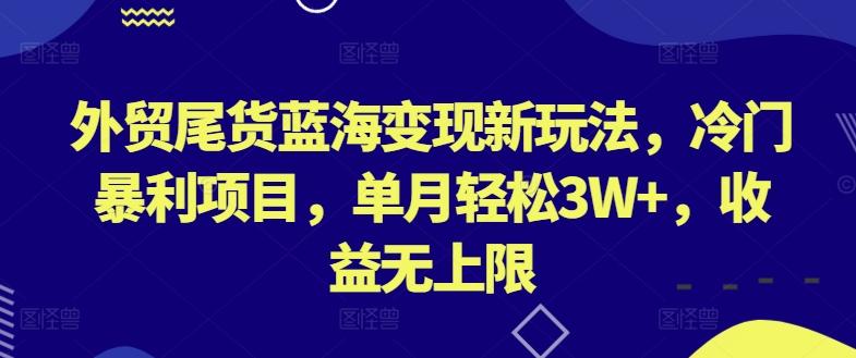 外贸尾货蓝海变现新玩法，冷门暴利项目，单月轻松3W+，收益无上限【揭秘】-瀚宇网创