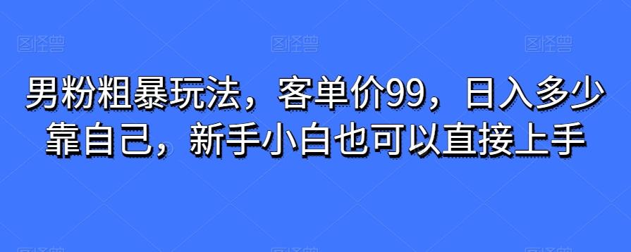 男粉粗暴玩法，客单价99，日入多少靠自己，新手小白也可以直接上手-瀚宇网创