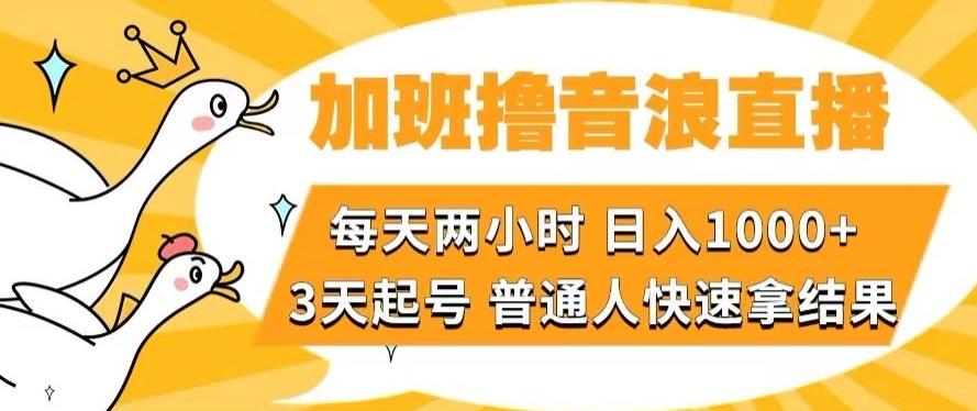 加班撸音浪直播，每天两小时，日入1000+，直播话术才3句，3天起号，普通人快速拿结果【揭秘】-瀚宇网创
