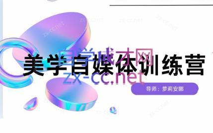 安娜·美学自媒体IP系统课-瀚宇网创