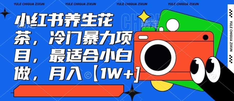 小红书养生花茶，冷门暴力项目，最适合小白做，月入【1W+】-瀚宇网创