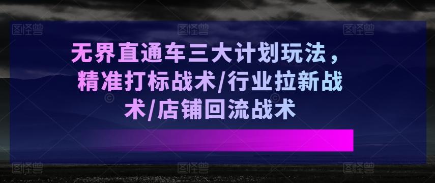 无界直通车三大计划玩法，精准打标战术/行业拉新战术/店铺回流战术-瀚宇网创