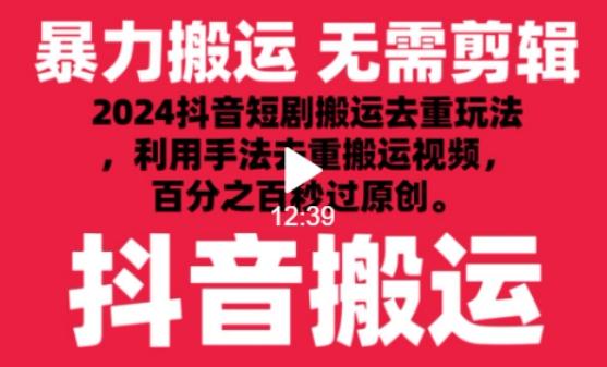 2024最新抖音搬运技术，抖音短剧视频去重，手法搬运，利用工具去重，达到秒过原创的效果【揭秘】-瀚宇网创