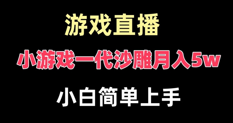 玩小游戏一代沙雕月入5w，爆裂变现，快速拿结果，高级保姆式教学【揭秘】-瀚宇网创