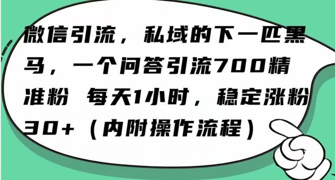 怎么搞精准创业粉?微信新赛道,每天一小时,利用Ai一个问答日引100精准粉-瀚宇网创