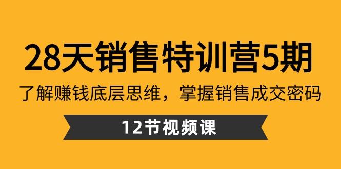 28天销售特训营5期：了解赚钱底层思维，掌握销售成交密码（12节课）-瀚宇网创