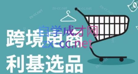 阿甘·2024年跨境电商选品案例(更新)-瀚宇网创
