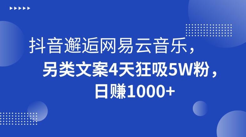 抖音邂逅网易云音乐，另类文案4天狂吸5W粉，日赚1000+【揭秘】-瀚宇网创