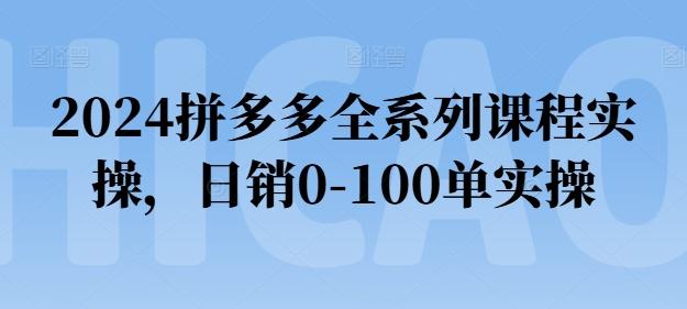 2024拼多多全系列课程实操，日销0-100单实操【必看】-瀚宇网创