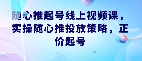 随心推起号线上视频课,实操随心推投放策略,正价起号-瀚宇网创