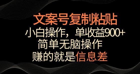 文案号掘金，简单复制粘贴，小白操作，单作品收益900+【揭秘】-瀚宇网创