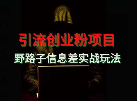 【引流创业粉】野路子信息差玩法实战教学-瀚宇网创