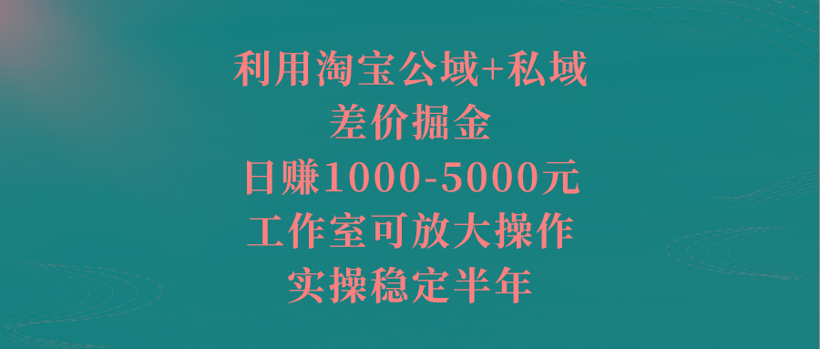 利用淘宝公域+私域差价掘金，日赚1000-5000元，工作室可放大操作，实操…-瀚宇网创