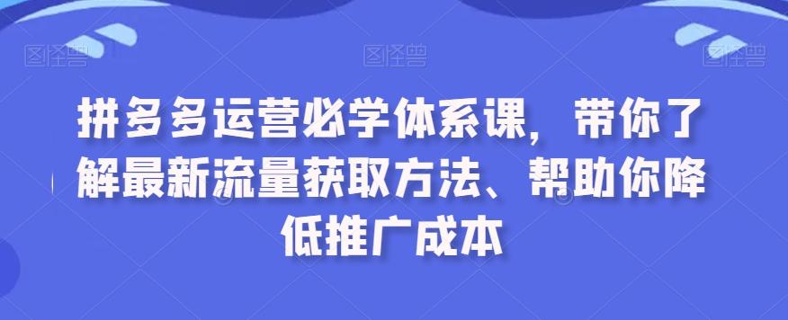 拼多多运营必学体系课，带你了解最新流量获取方法、帮助你降低推广成本-瀚宇网创