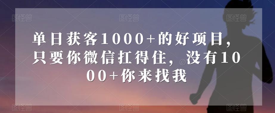 单日获客1000+的好项目，只要你微信扛得住，没有1000+你来找我【揭秘】-瀚宇网创