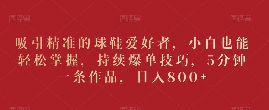 吸引精准的球鞋爱好者，小白也能轻松掌握，持续爆单技巧，5分钟一条作品，日入800+【揭秘】-瀚宇网创