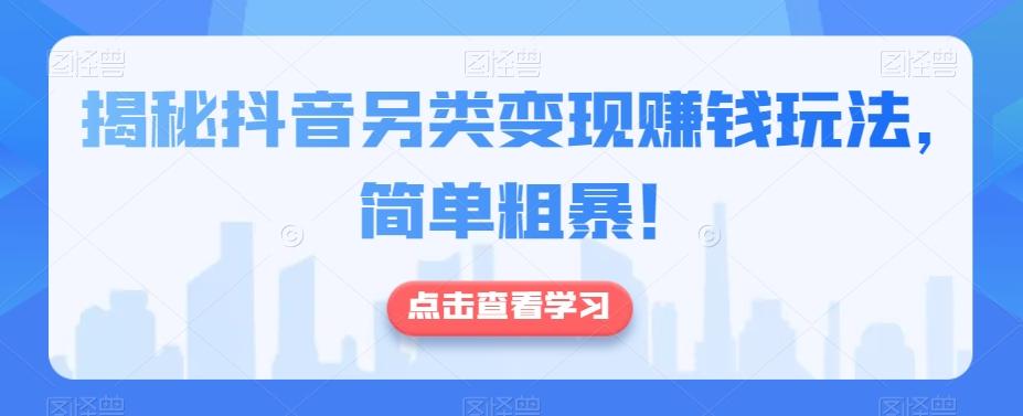 揭秘抖音另类变现赚钱玩法，简单粗暴！-瀚宇网创