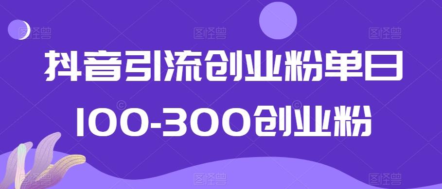 抖音引流创业粉单日100-300创业粉【揭秘】-瀚宇网创