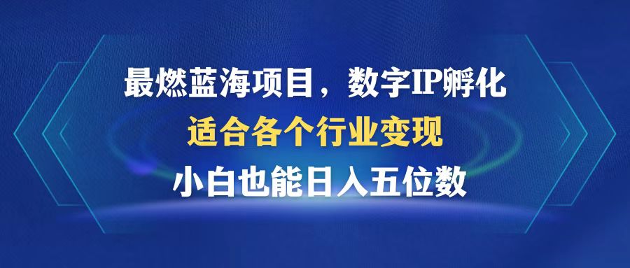 最燃蓝海项目 数字IP孵化 适合各个行业变现 小白也能日入5位数-瀚宇网创