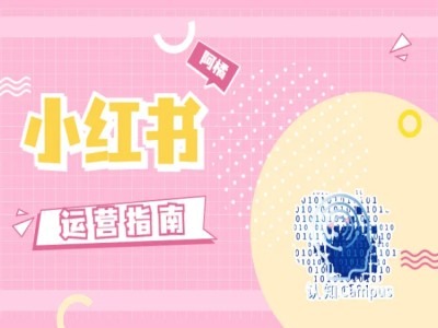 小红书运营指南，没有套路，全是经验-瀚宇网创