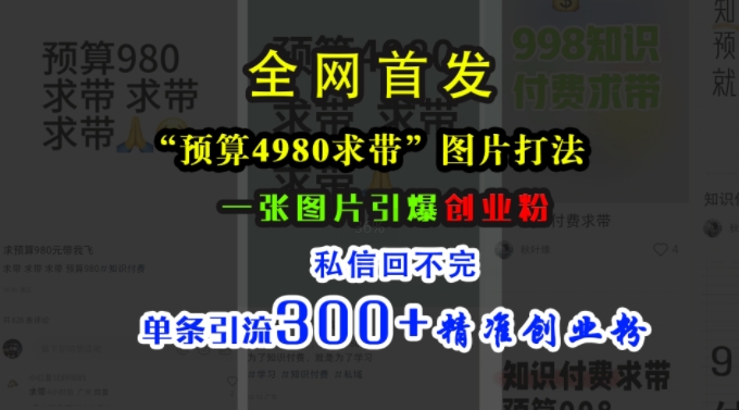 小红书“预算4980带我飞”图片打法,一张图片引爆创业粉,私信回不完,单条引流300+精准创业粉-瀚宇网创