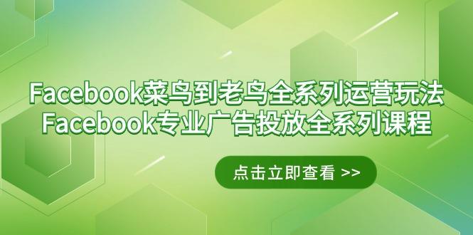 Facebook-菜鸟到老鸟全系列运营玩法+Facebook-专业广告投放全系列课程-瀚宇网创