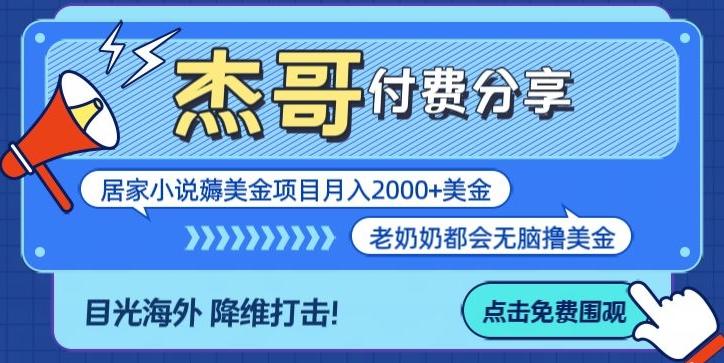 拆解海外撸美金项目月入2000美刀详细指导-瀚宇网创